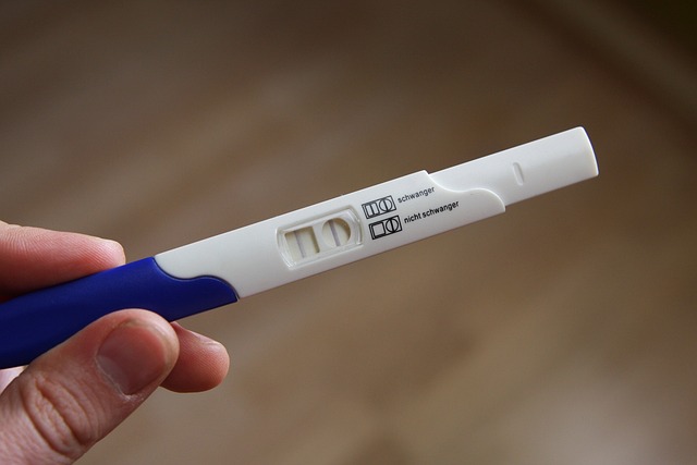 těhotenství na testu